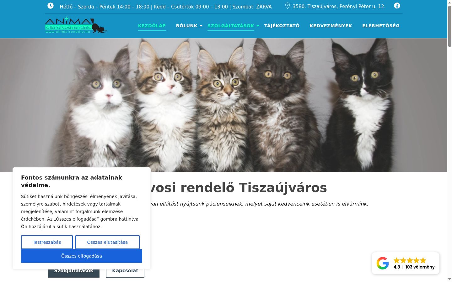 Zrzut ekranu banera zgody wyświetlanego przed jakąkolwiek interakcją