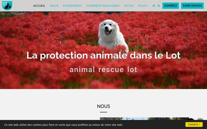 Screenshot of animalrescuelot.com