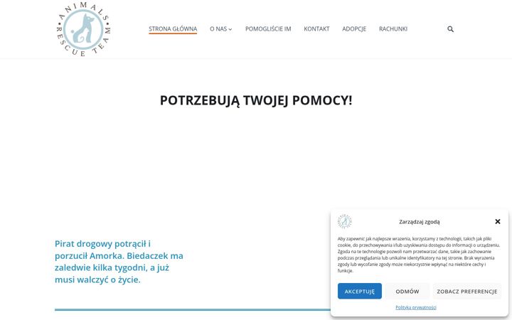 Screenshot of animalsrescueteam.pl