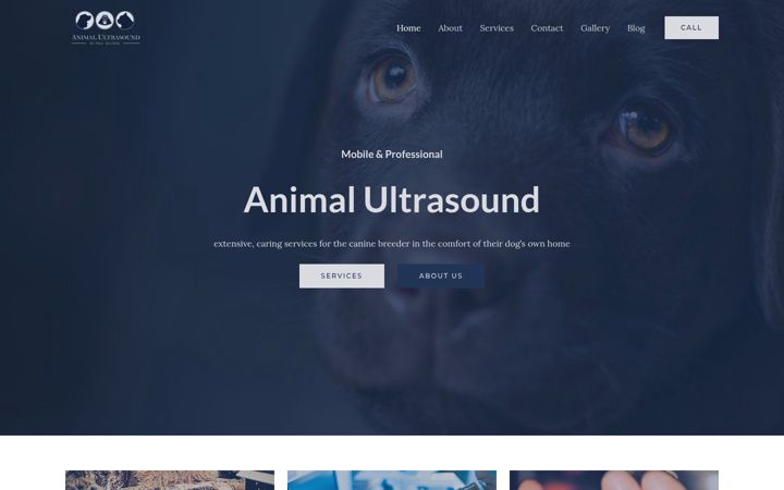 Zrzut ekranu animalultrasoundbypaulwilson.co.uk
