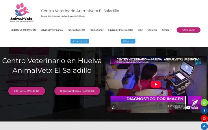 Screenshot van animalvetxelsaladillo.com