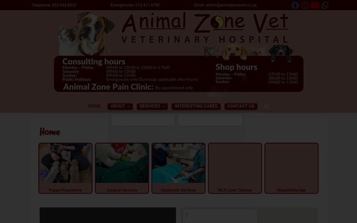 Ekrano kopija animalzonevet.co.za