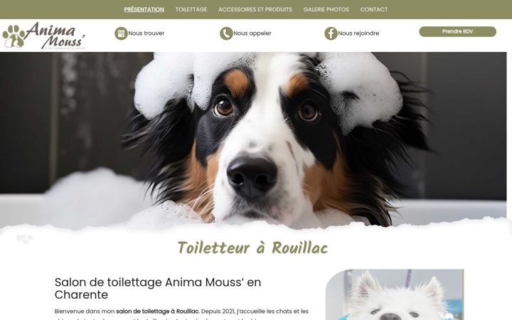 Screenshot of animamouss.fr