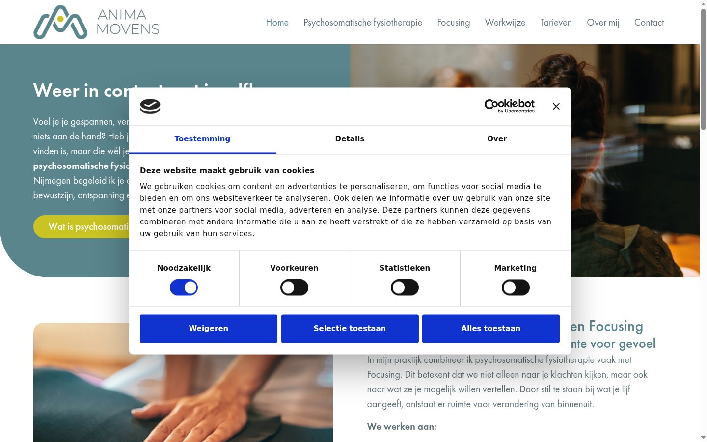 Captura de ecrã do banner de consentimento apresentado antes de qualquer interação
