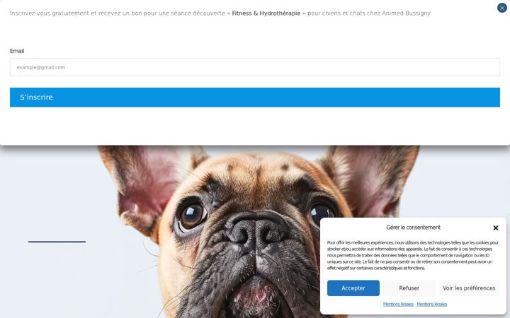 Screenshot του animedcenter.ch