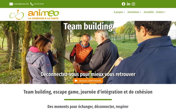 Screenshot of animeo.info
