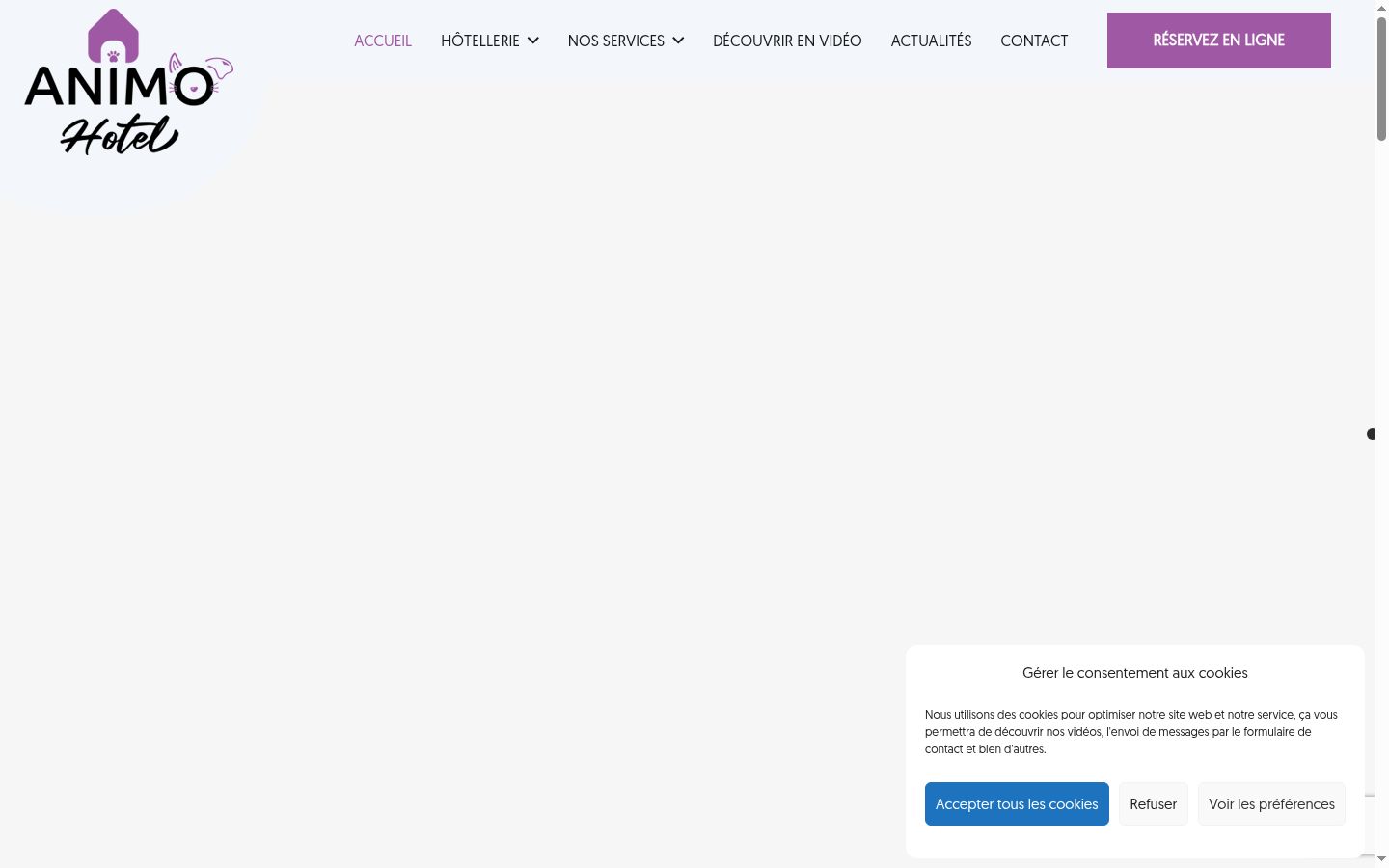 Screenshot van de toestemmingsbanner zoals getoond vóór enige interactie
