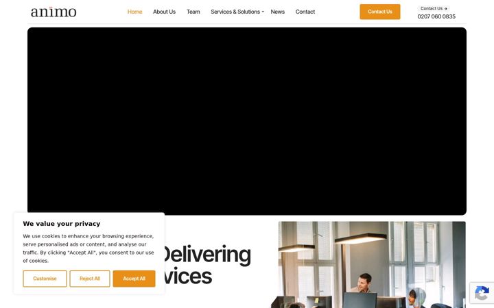 Screenshot of animoassociates.com