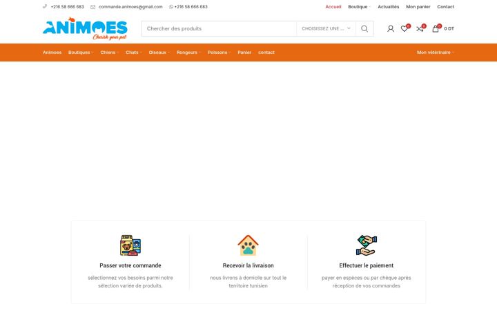 Screenshot of animoes.tn