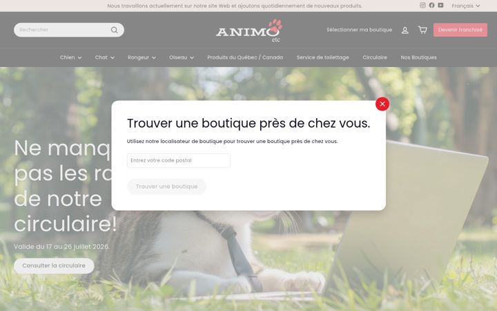 Screenshot von animoetc.com
