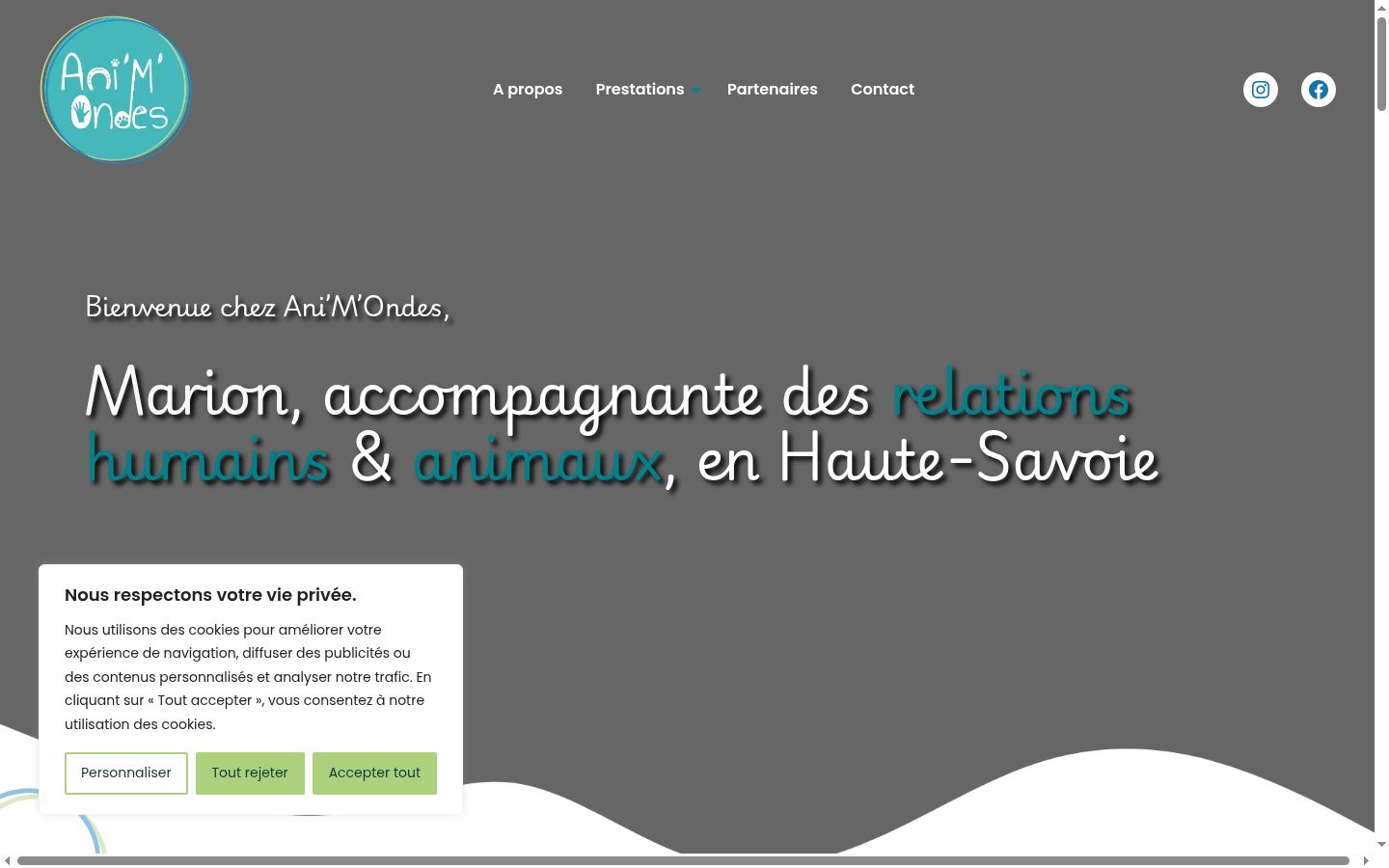 Screenshot tal-banner tal-kunsens muri qabel kwalunkwe interazzjoni