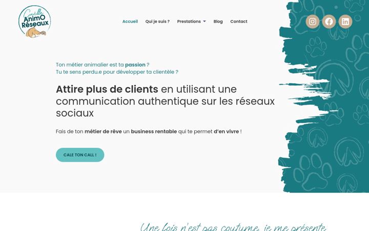 Screenshot van animoreseaux.fr
