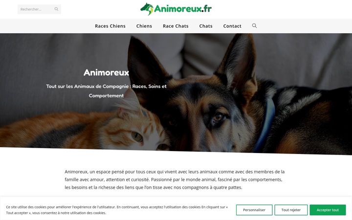 Screenshot of animoreux.fr