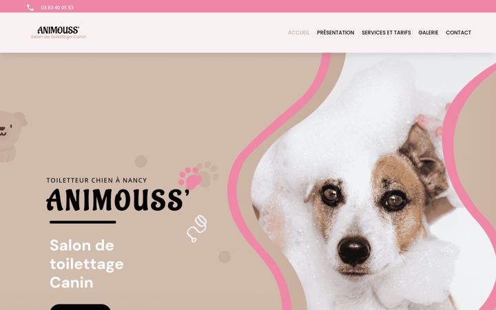 Screenshot van animouss.fr