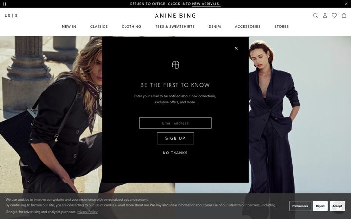 Screenshot of aninebing.com
