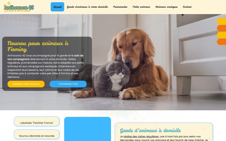 Screenshot of aninounou42.fr