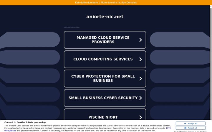 Screenshot of aniorte-nic.net