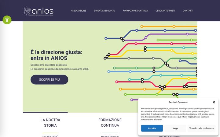 Screenshot of anios.it