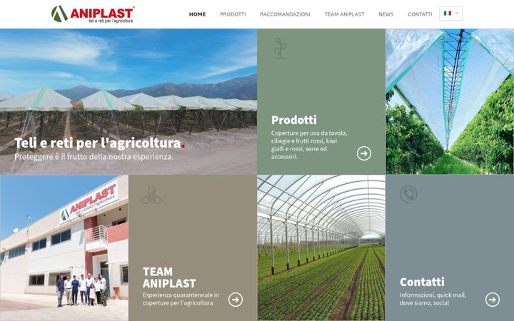 Screenshot of aniplast.it