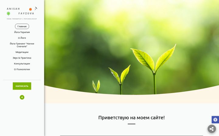 Screenshot of anisa-studio.com