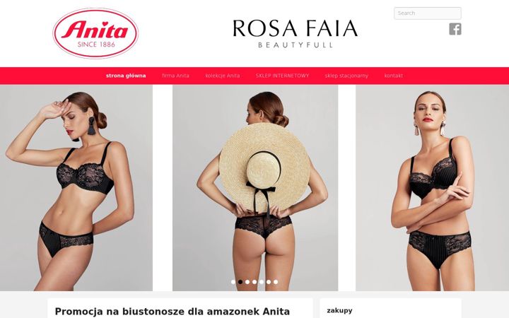 Screenshot of anitabielizna.pl