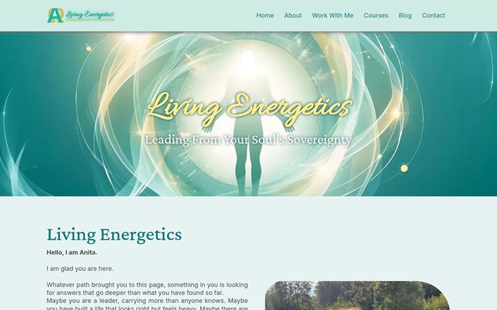 Screenshot of anitabrenneke.com