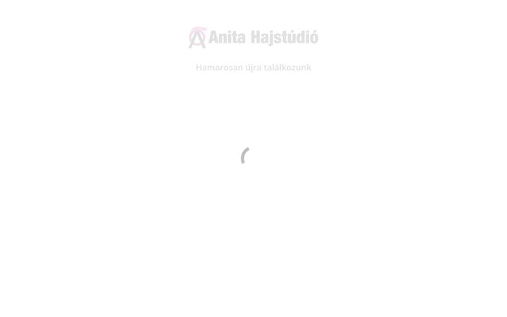 Snímek obrazovky anitahajstudio.hu