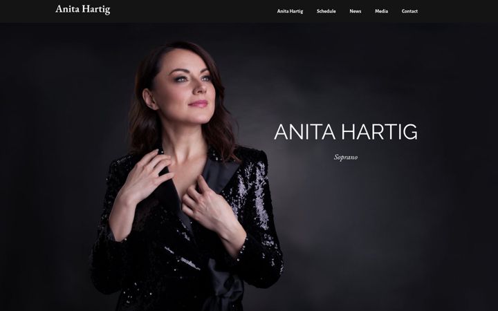 Screenshot of anitahartig.com
