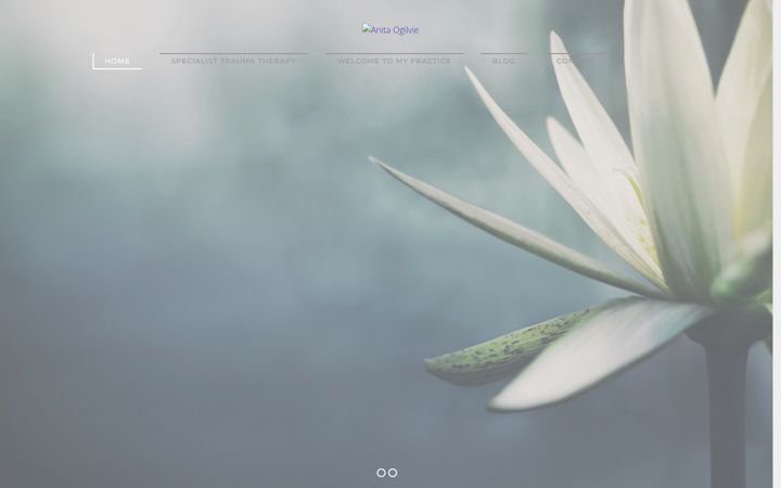 Screenshot του anitaogilvietherapy.co.uk