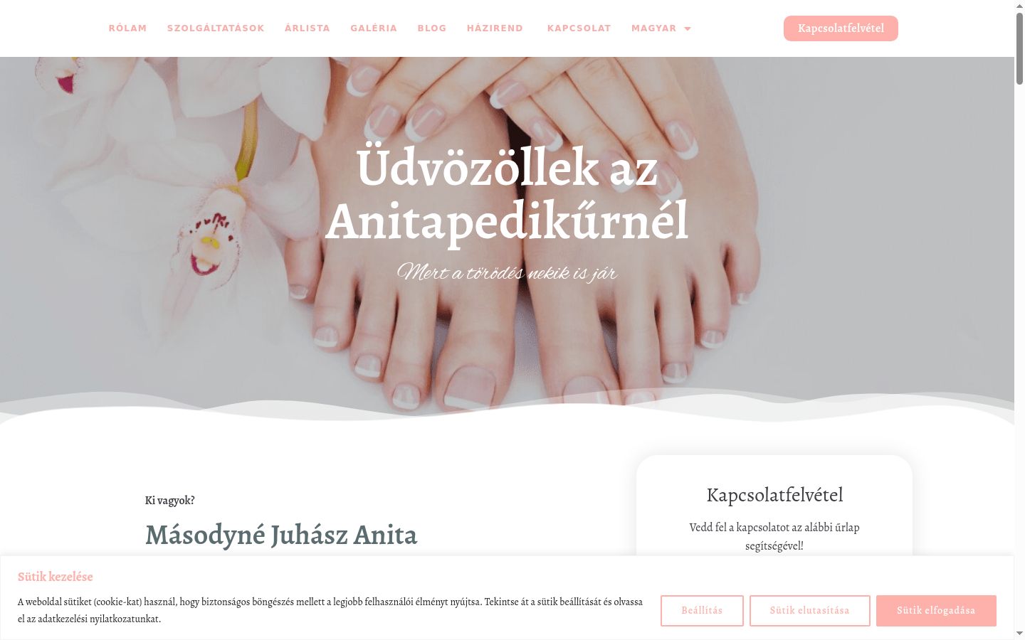 Snimka zaslona bannera za privolu prikazanog prije bilo kakve interakcije