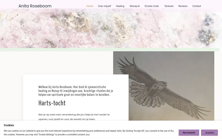Screenshot of anitaroseboom.com