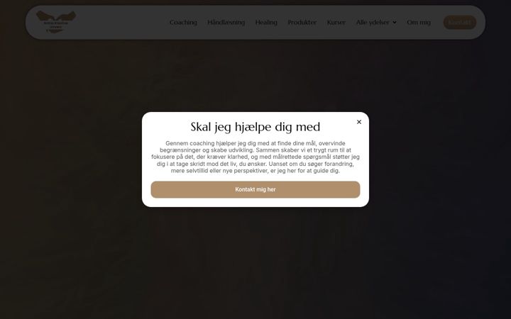 Skärmbild av anitaskreativeunivers.dk
