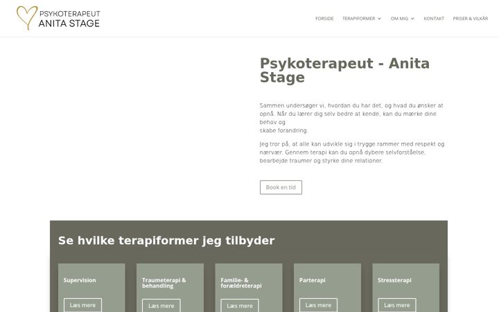 Screenshot of anitastage.dk