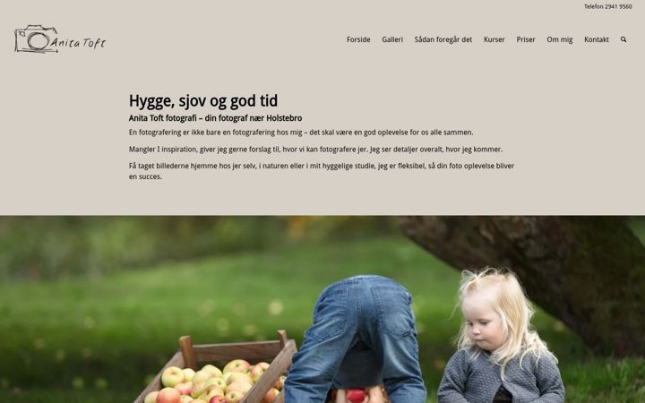 Skärmbild av anitatoft.dk