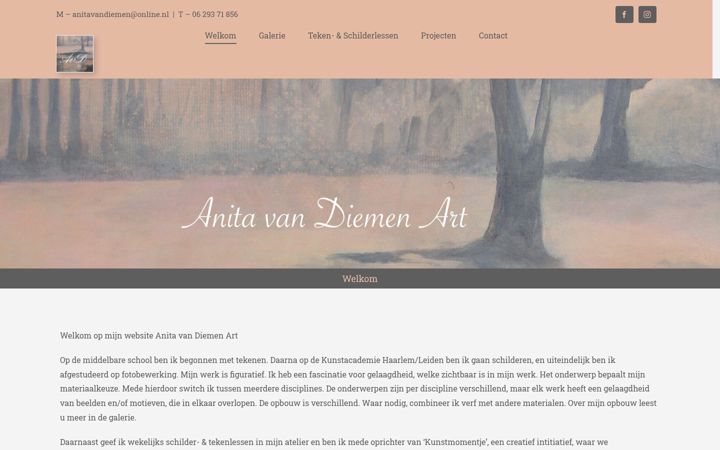 Captură de ecran a anitavandiemen-art.nl