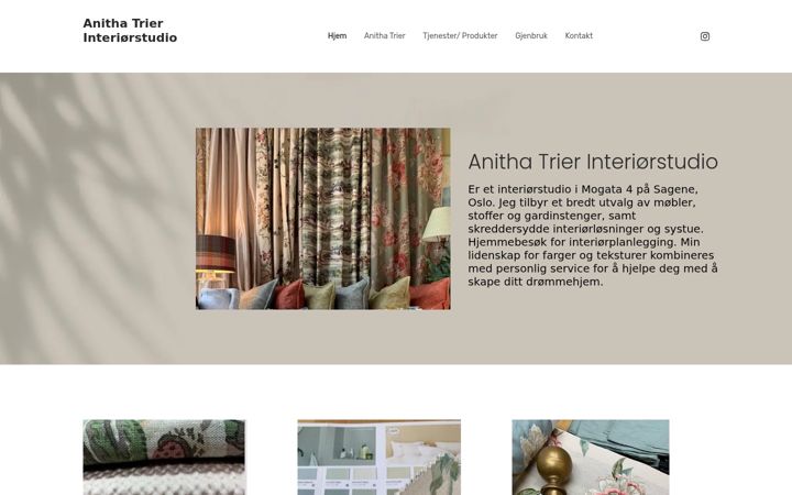 Screenshot of anithatrier.no