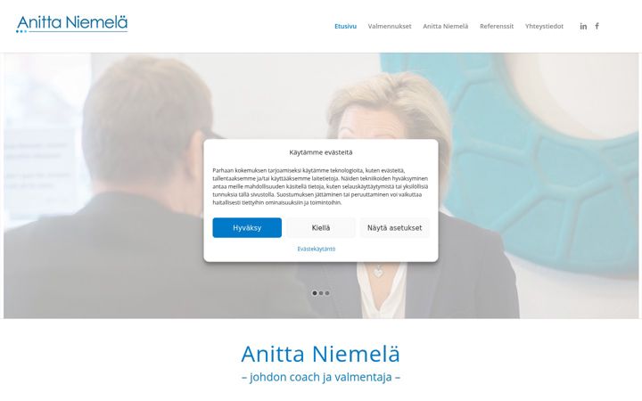Screenshot ta' anittaniemela.fi