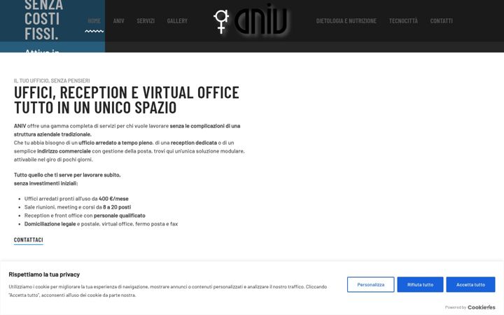 Screenshot of aniv-d.com