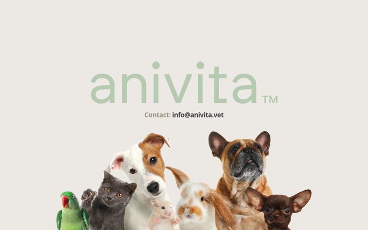 Screenshot of anivita.vet