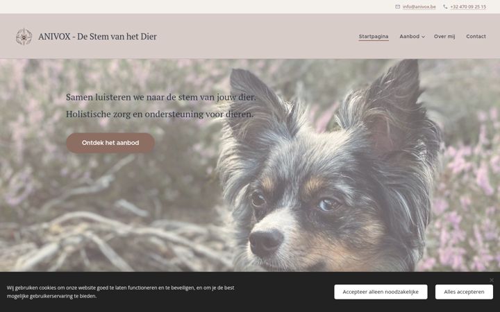 Screenshot of anivox.be