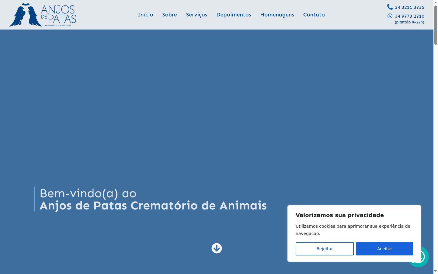 Captura de pantalla del banner de consentimiento mostrado antes de cualquier interacción