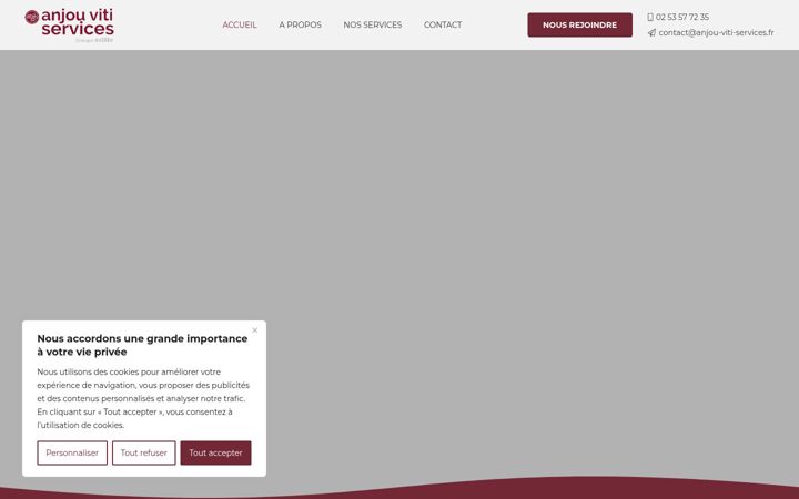 Screenshot of anjou-viti-services.fr