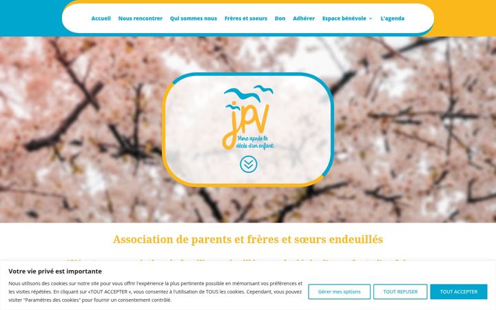 Screenshot of anjpv.fr
