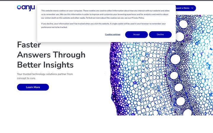 Screenshot of anjusoftware.com