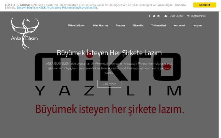 Screenshot of ankabilgiislem.com.tr