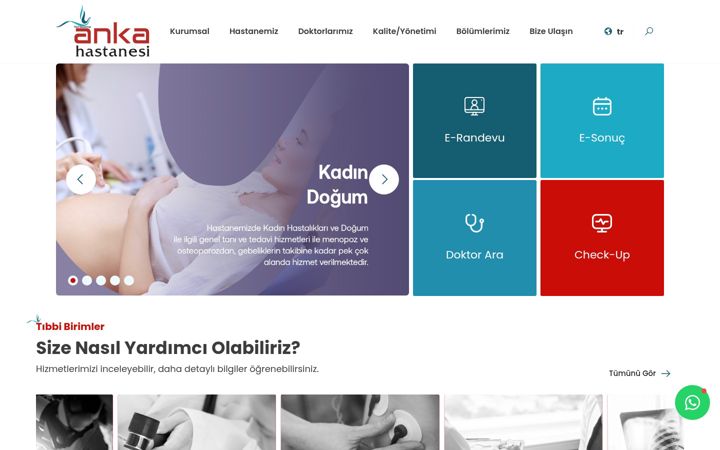 Screenshot of ankahastanesi.com