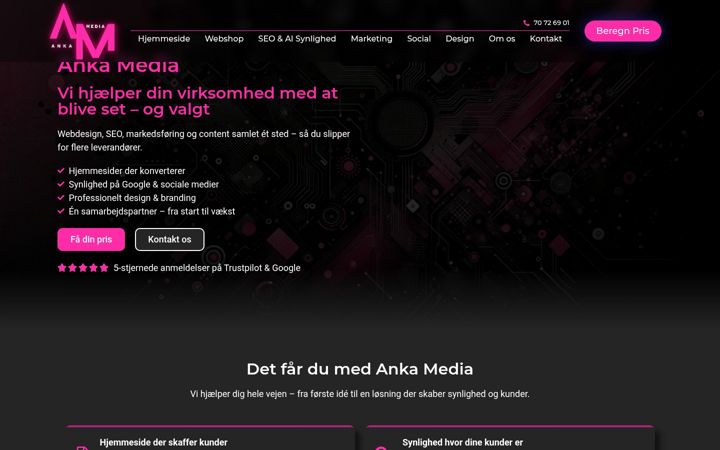 Screenshot of ankamedia.dk