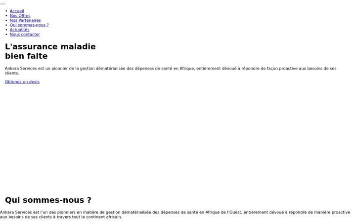Screenshot of ankaraservices.com