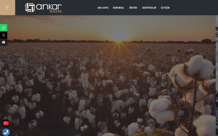 Screenshot of ankartekstil.com