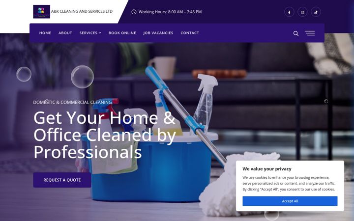 Screenshot of ankcleaningservices.com